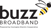 Buzz Broadband Logo